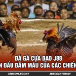 Đá Gà Cựa Dao J88 - Sàn Đấu Đẫm Máu Của Các Chiến Kê